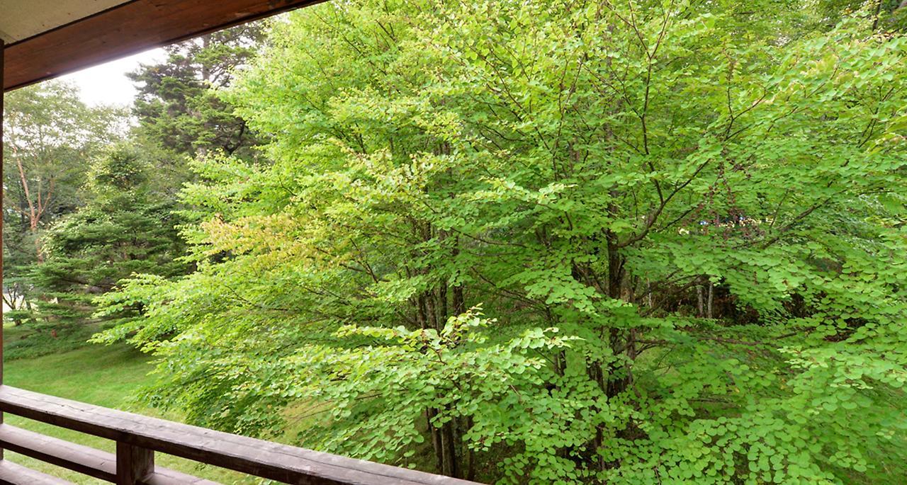 Nikko Yumoto Onsen Honokana Yado Jurin Eksteriør billede